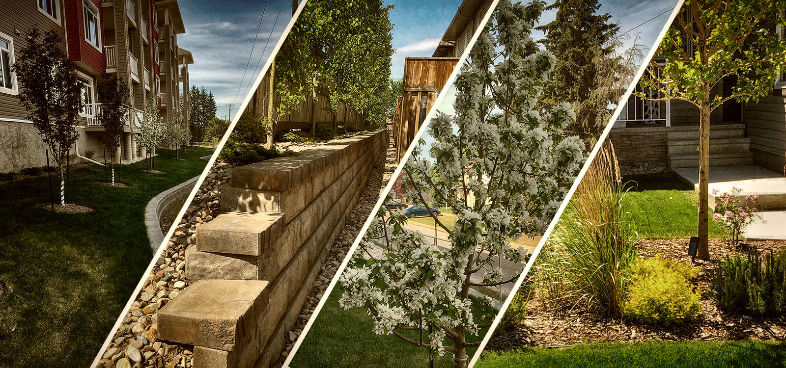 Collage of a lawn, stone steps and planting